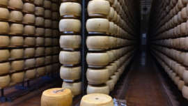 Maturing Parmigiano at Le Grande Latteria